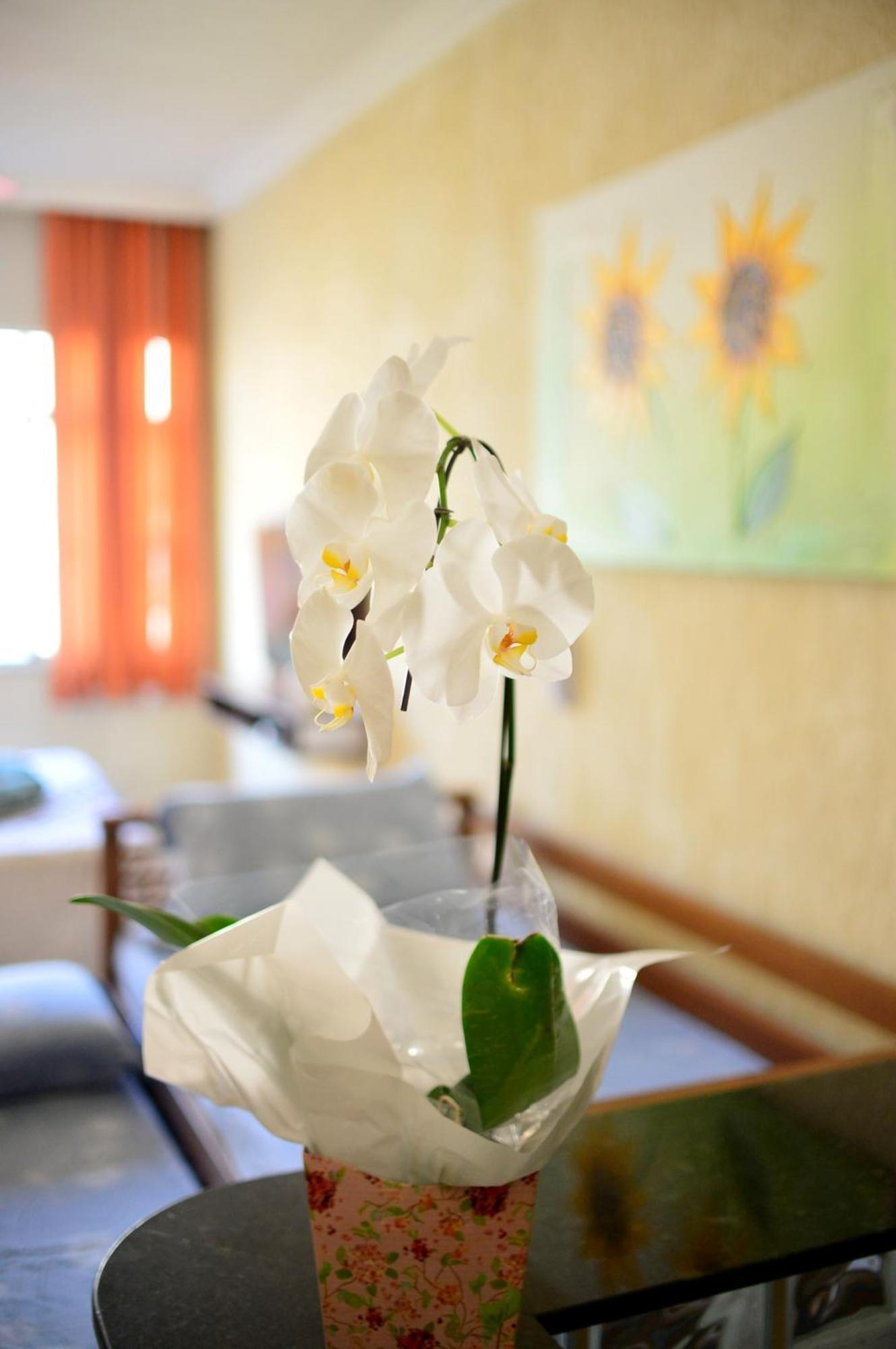 Vista Mar Luxo Copacabana 里约热内卢 外观 照片